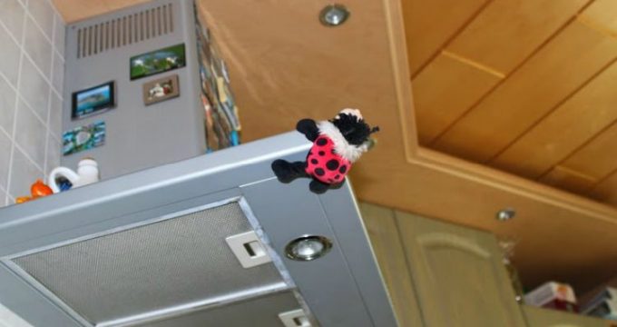 seltener an der Abzughaube stoßen