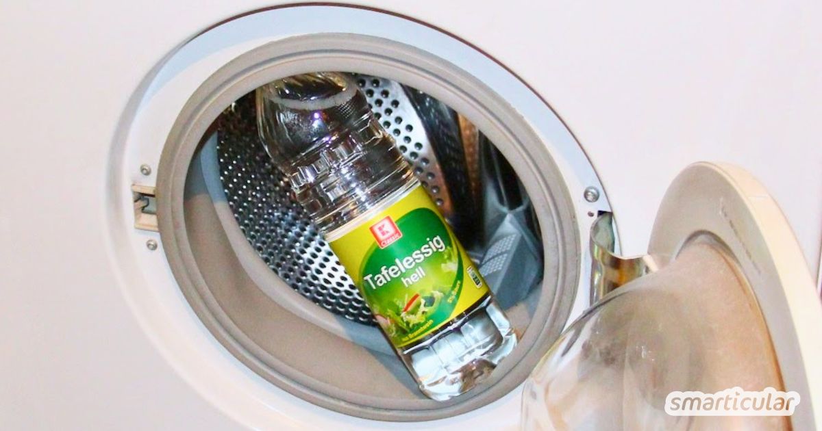 Essig in die Waschmaschine? Das Hausmittel löst Kalk und Gerüche, kann aber Gummiteilen schaden. Erfahre hier, wie du es sicher anwendest!