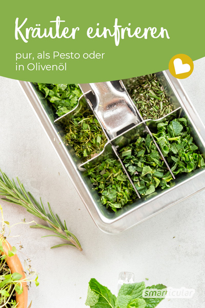 Kräuter einfrieren - pur, als Pesto oder als Würfel in Olivenöl - das sind drei verschiedene Methoden, um Kräuter fürs ganze Jahr zu konservieren.