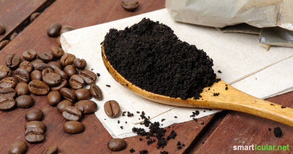 Kaffeesatz wird viel zu oft weggeworfen. Dabei gibt es sehr viele, sinnvolle Einsatzgebiete. Wir zeigen dir die besten!