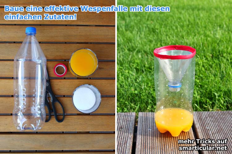 Hilfe Gegen Wespen Im Garten Wespenfalle Selbst Gemacht