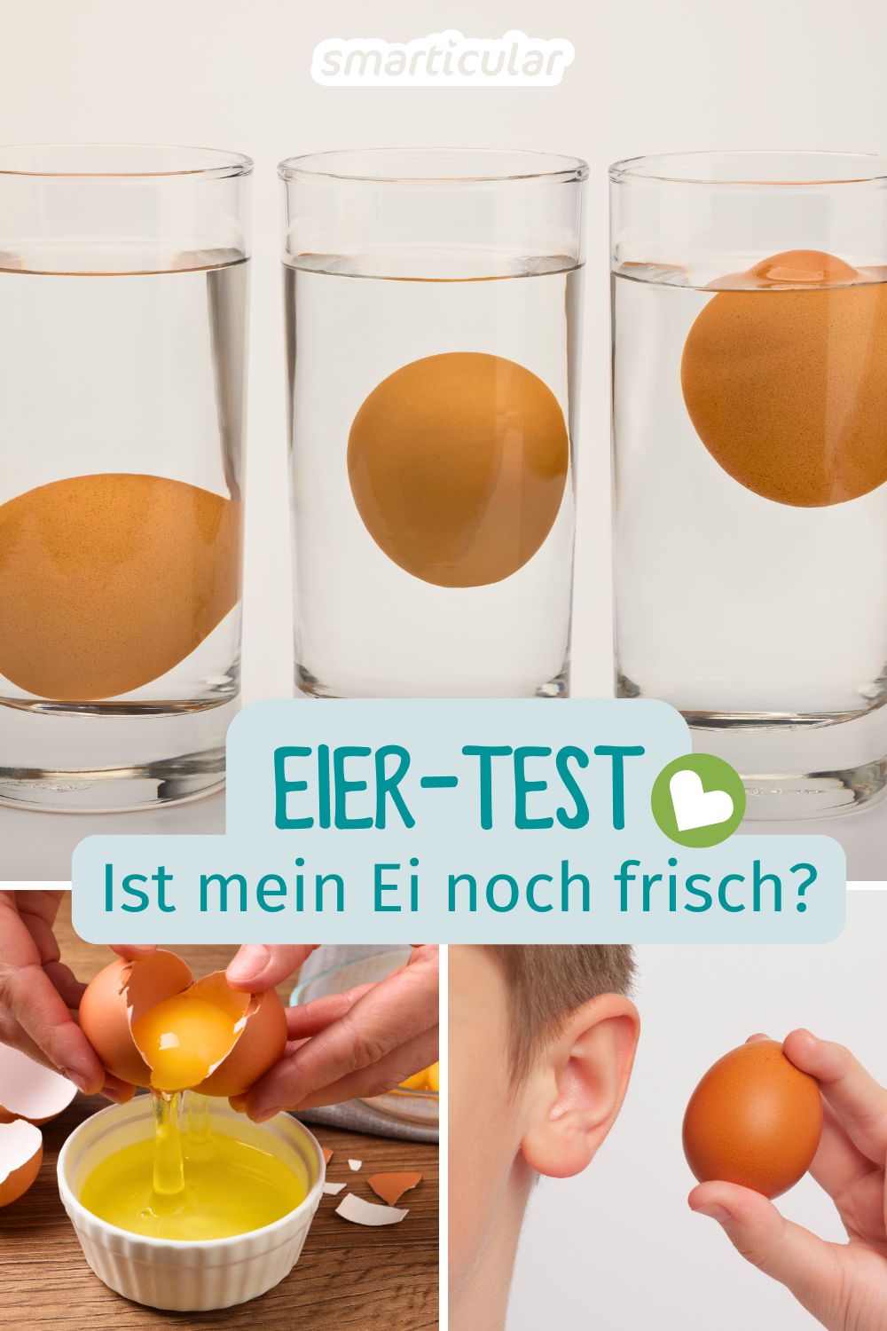 Bist du unsicher, ob deine Eier noch gut sind? Wir zeigen dir drei einfache Eier-Tests, mit denen du es schnell und einfach herausfindest.