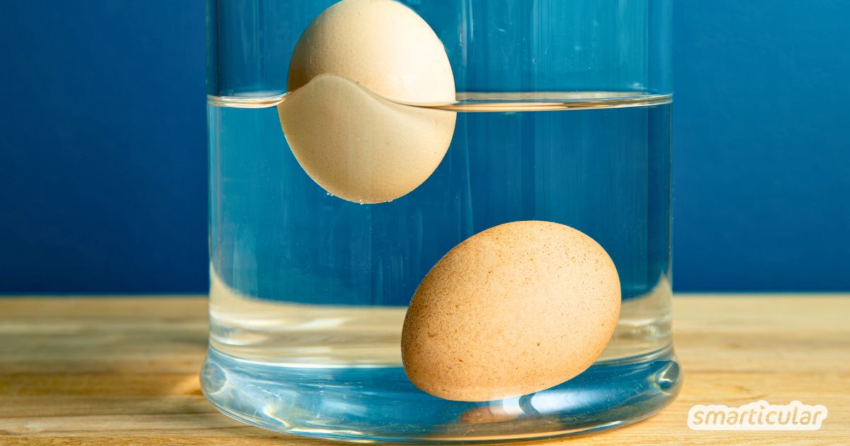 Bist du unsicher, ob deine Eier noch gut sind? Wir zeigen dir drei einfache Eier-Tests, mit denen du es schnell und einfach herausfindest.