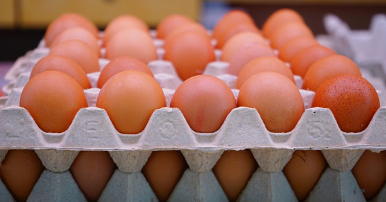 3 mal getestet: Wie weiß ich wann ein Ei schlecht ist?