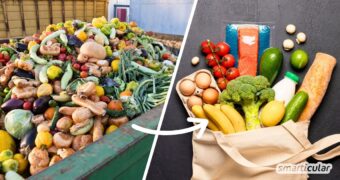 Foodsharing - Lebensmittel retten und sparen
