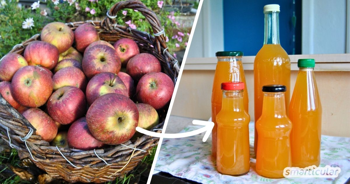 Apfelsaft selber machen ohne Entsafter? Ja das geht! Mit dieser Anleitung kannst du deine Ernte lecker verwerten - ohne Sezialgeräte.