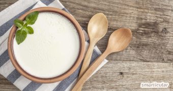 Naturjoghurt ist lecker und gesund. Ihn selber herzustellen ist erstaunlich einfach. Wir zeigen Schritt für Schritt wie du biologischen Joghurt herstellst