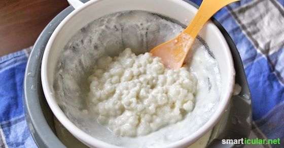 Milchkefir selber machen  das probiotische Getrnk fr deine Gesundheit
