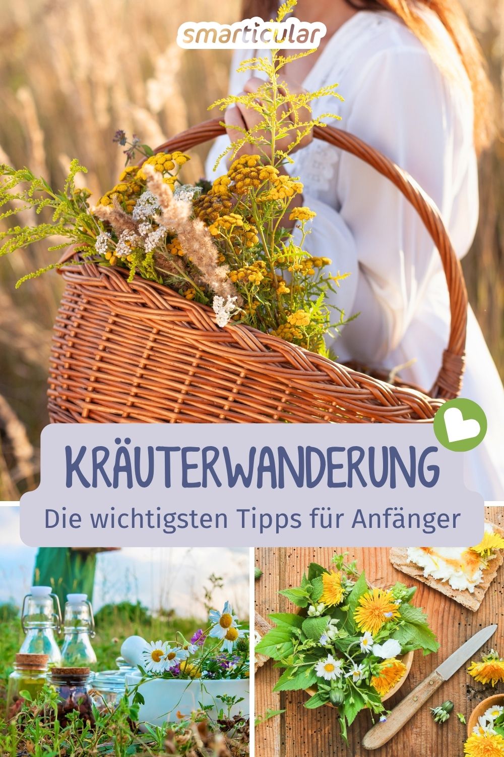 Entdecke kostenlose Superfoods vor deiner Tür! Mit diesen Tipps wird deine Kräuterwanderung zu einer sicheren und erlebnisreichen Erfahrung.