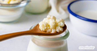 Als erfrischende und gesunde Alternative zu Softdrinks kannst du probiotischen Milchkefir selber machen - aus nur zwei Zutaten.