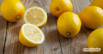 Zitronensäure ist äußerst vielseitig einsetzbar. Hier findest du die besten Anwendungen für Küche, Haushalt und Körperpflege!