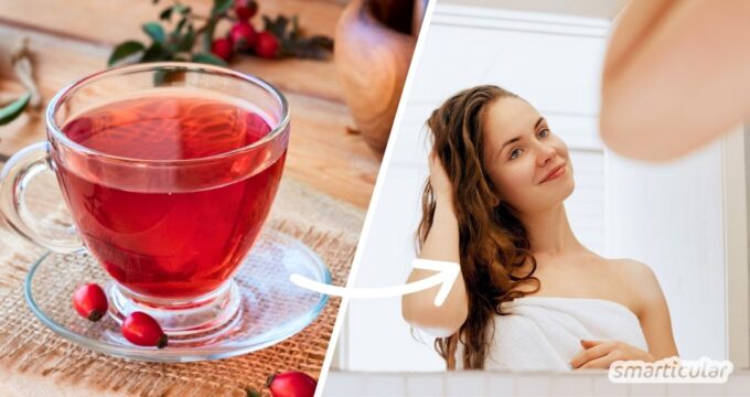 Mit einer selbst gemachten Haarspülung mit Hagebutte wirkst du schnellem Nachfetten entgegen - einfach, preiswert und natürlich.