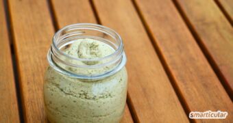 Ein Rezept viele Möglichkeiten! Aus diesem cremigen Sonnenblumenkern-Aufstrich zauberst du ganz einfach unzählige leckere Varianten.