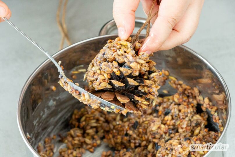 Vogelfutter selber machen Grundrezept und DIYSpender für Fettfutter