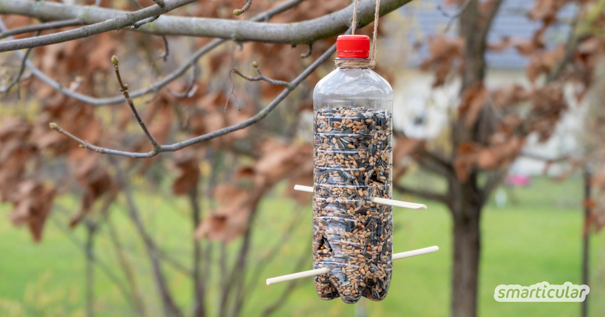 Ein Vogelhaus aus einer Plastikflasche ist schnell gebastelt und versorgt die Tiere in der kalten Jahreszeit mit Futter.