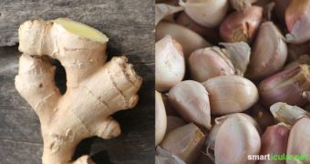 Mit diesem Rezept bekämpfst du Erkältungen auf natürliche Art. Ingwer, Knoblauch und ein paar anderen Zutaten: schnell, gesund und effektiv!