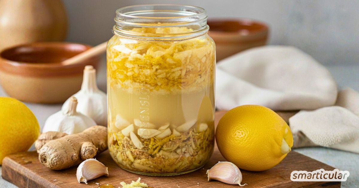 Probiere dieses einfache Ingwer-Knoblauch-Zitrone-Honig-Trunk-Rezept. Du erhältst das beste Hausmittel für die Grippe- und Erkältungssaison.
