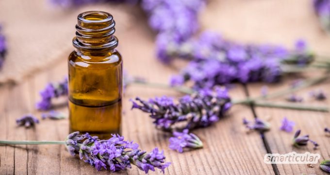 Das ätherische Öl der Lavendelpflanze ist gut für Gesundheit und Entspannung. Es ist sehr vielseitig einsetzbar: wir zeigen dir unsere Lieblingsanwendungen