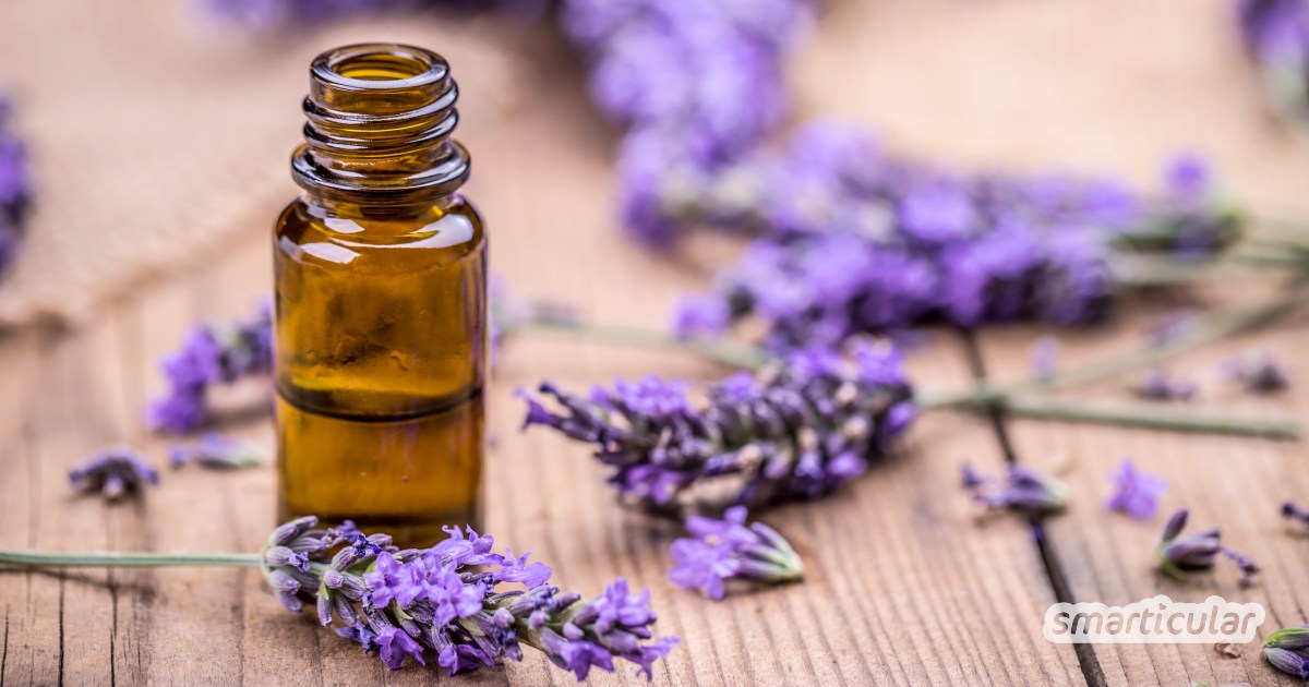 Das ätherische Öl der Lavendelpflanze ist gut für Gesundheit und Entspannung. Es ist sehr vielseitig einsetzbar: wir zeigen dir unsere Lieblingsanwendungen