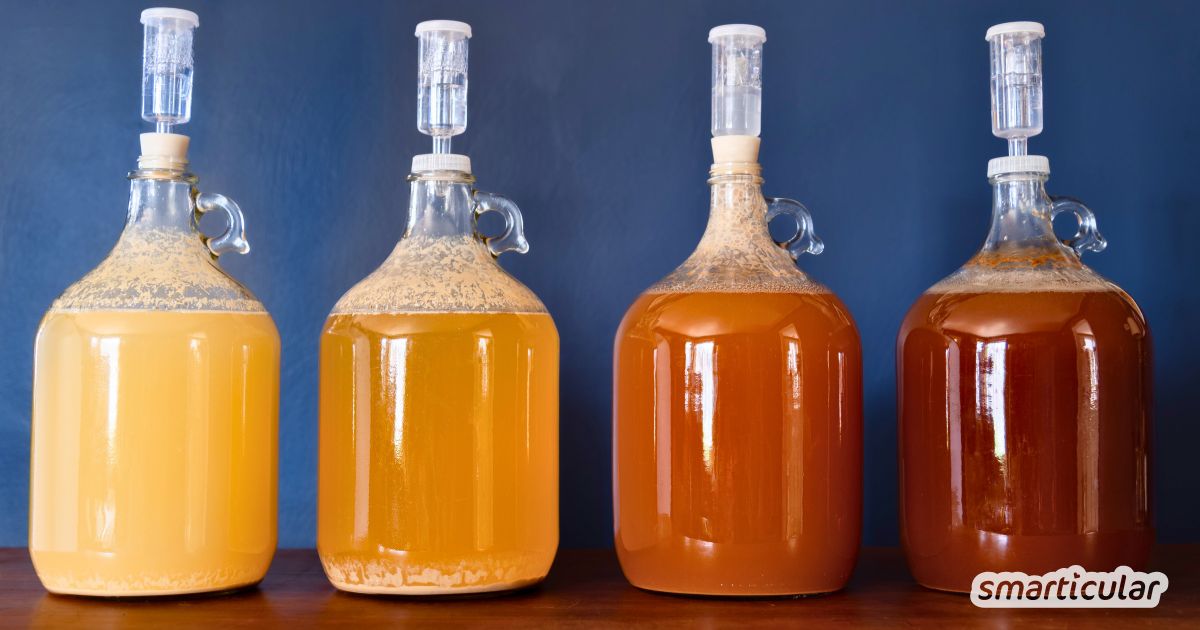 Honigwein, auch Met genannt ist lecker! Er ist auch sehr einfach und günstig herzustellen. Wir zeigen dir wie es geht!
