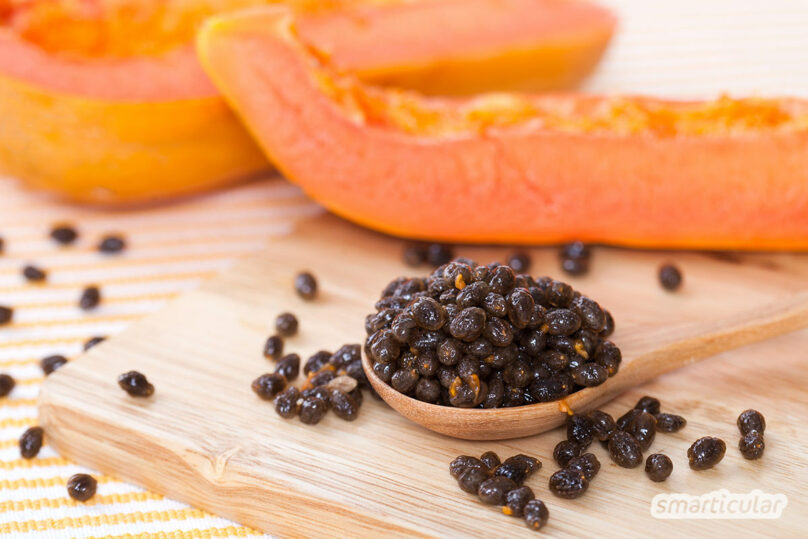 Papaya-Kerne kannst du leicht trocknen und für das feine und gesunde Würzen vieler Speisen verwenden. Ein wahrer Schatz für das gesunde Kochen!