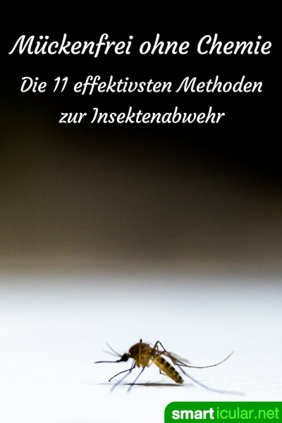 Natürliche Insektenabwehr ist nicht so leicht. Wir haben dutzende Mittel und berüchtigte Lifehacks getestet! Diese 9 Methoden halten dir Mücken vom Leib!