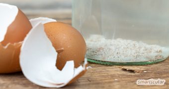 Eierschalen sind reich an Kalk und Mikronährstoffen. Mit wenig Aufwand und etwas Wasser wird daraus ein praktischer Flüssigdünger.