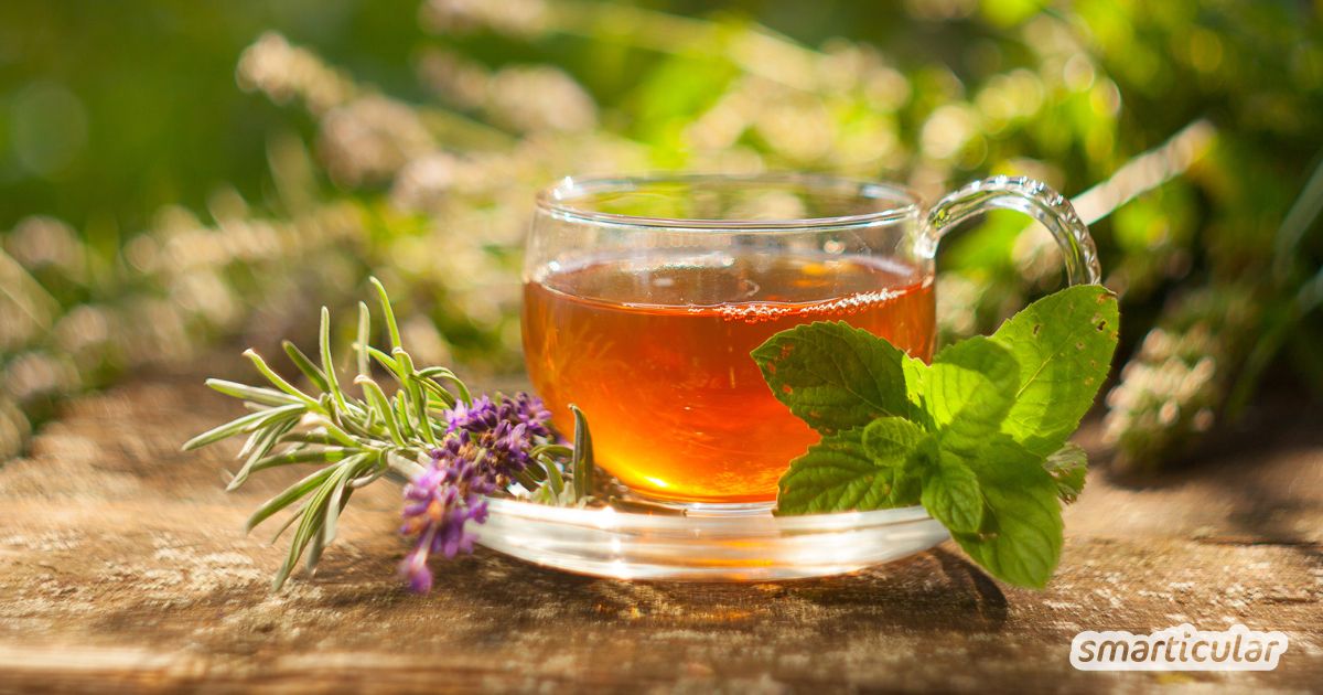 Tee muss nicht teuer sein. Es gibt viele Möglichkeiten kostenlosen, gesunden und schmackhaften Tee selbst herzustellen. Wir zeigen dir die besten Tricks!