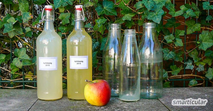 Hautpflege muss nicht aufwendig oder teuer sein. Viele Hautprobleme lassen sich mit Apfelessig behandeln. Die 11 besten Anwendungen findest du hier!