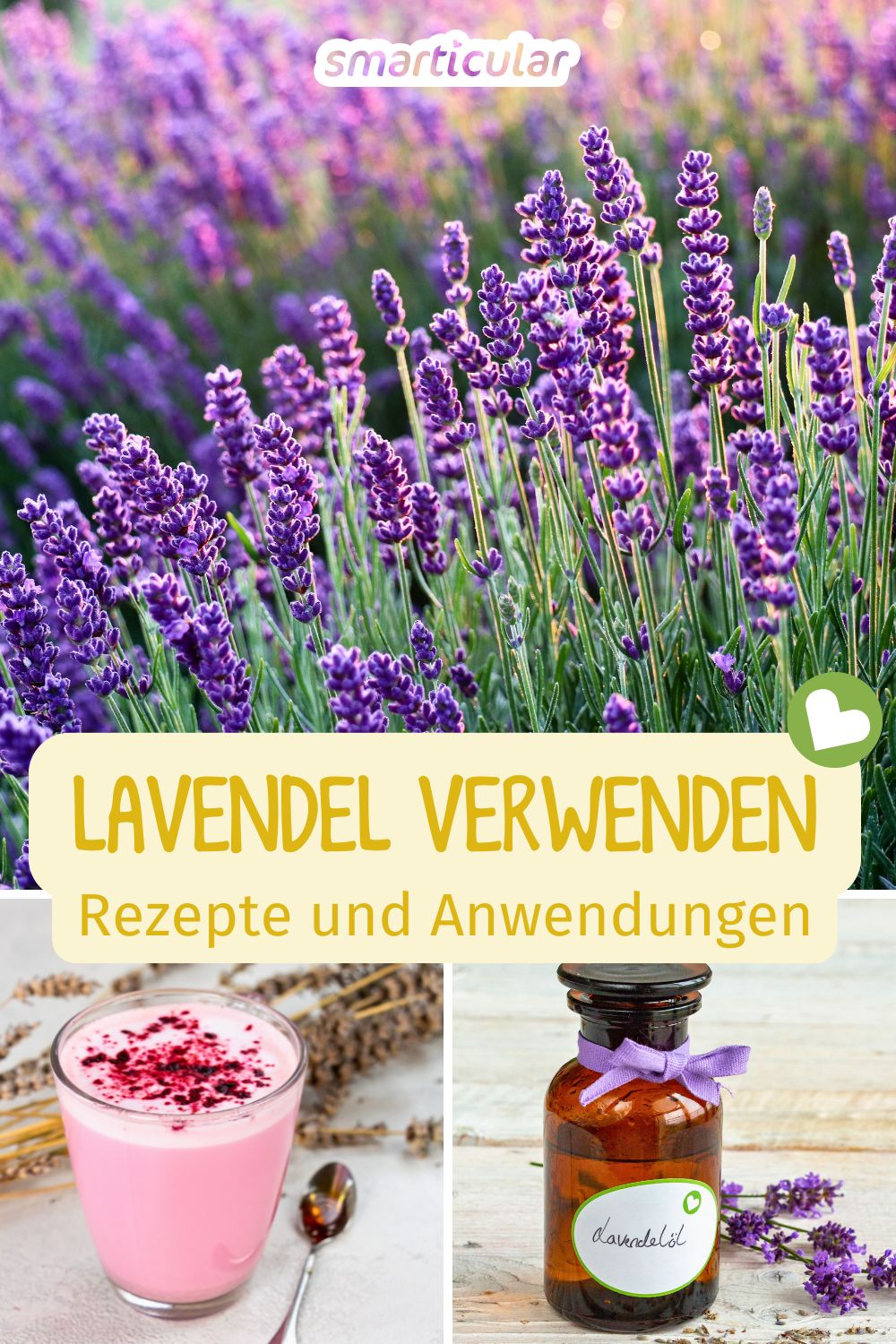 Nur wenige Pflanzen sind so vielfältig! Erfahre wie vielseitig du Lavendel verwenden kannst - für Kosmetik, in der Küche und vieles mehr.