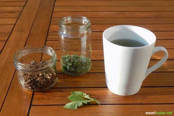 Tee muss nicht immer viel Geld kosten. Der Teeaufguss aus Löwenzahn hilft dir richtig wach zu werden, vertreibt Kopfschmerzen und hilft Gewicht zu verlieren