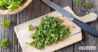 Giersch wächst in vielen Gärten besonders üppig. Statt dich darüber zu ärgern, kannst du ihn mit diesen köstlichen Rezepten einfach aufessen.