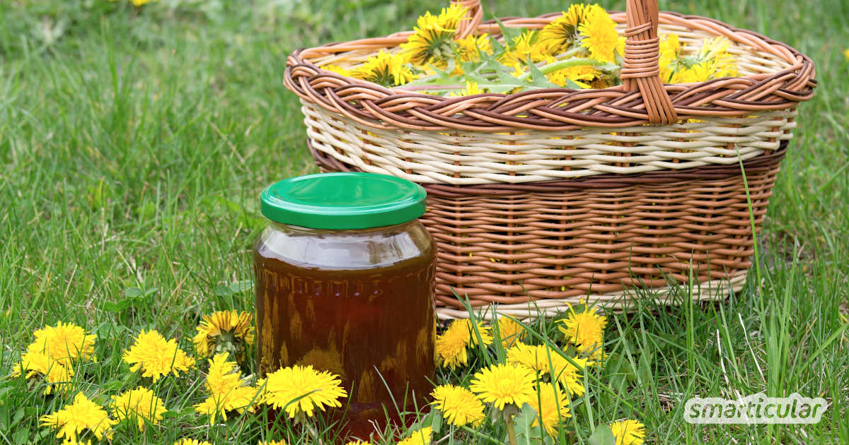 Aus Löwenzahn Speisen zaubern: vom Honig bis zum Salat ist viel möglich. Hier erfährst du, wie du Sirup herstellst und als Salatdressing verwendest!