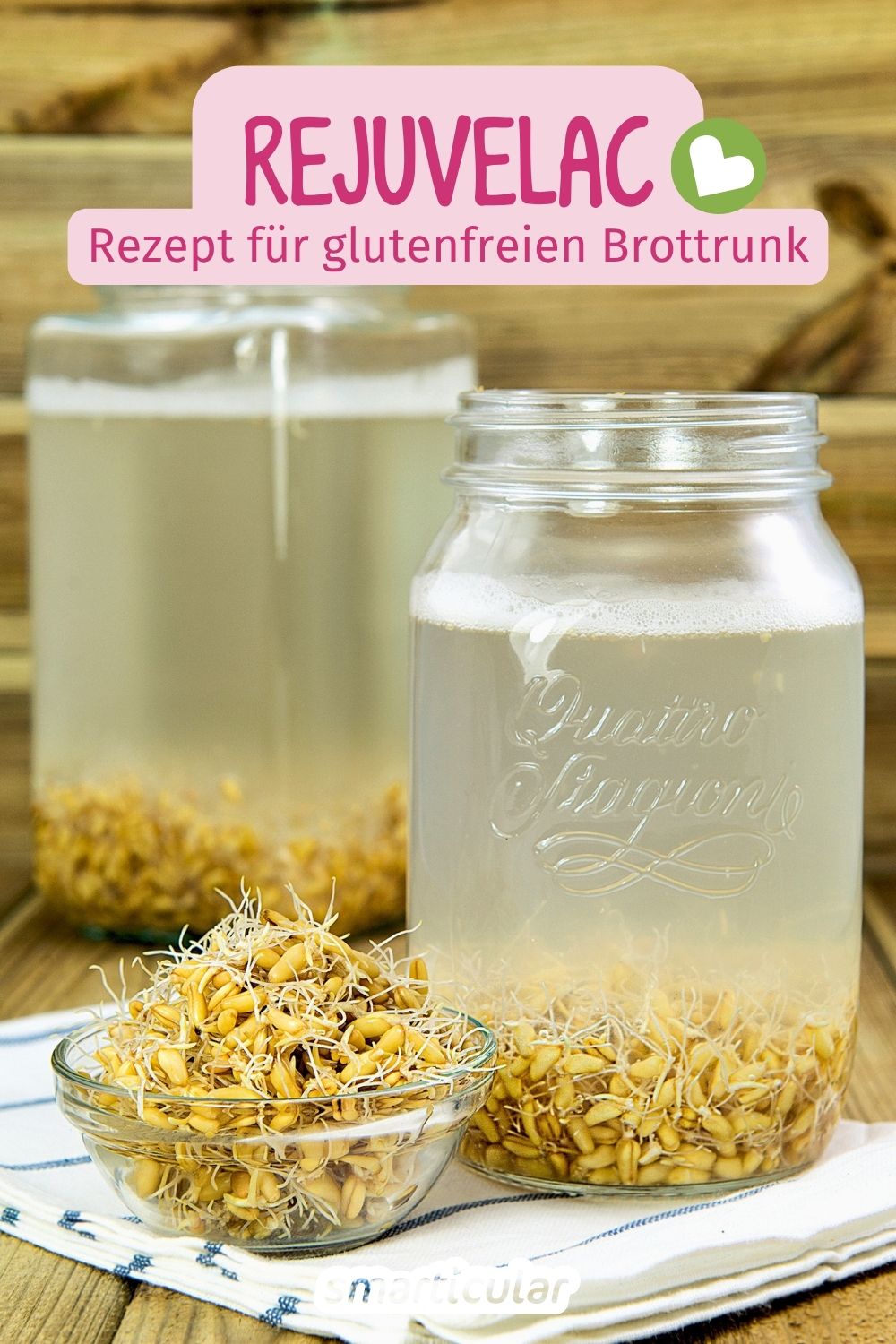 Rejuvelac selber machen: Entdecke unser Rezept für das probiotische Getränk – ideal als Starter für veganen Käse oder als glutenfreie Brottrunk-Alternative.