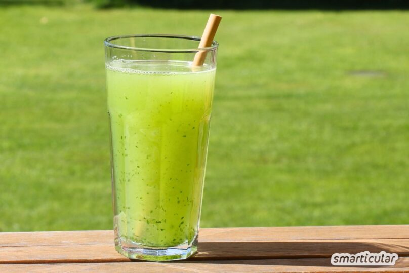 Mit einer Gurkenlimonade sorgst du blitzschnell für eine gesunde und preiswerte Erfrischung. Probiere es am besten gleich mal aus!