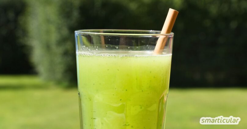 Mit einer Gurkenlimonade sorgst du blitzschnell für eine gesunde und preiswerte Erfrischung. Probiere es am besten gleich mal aus!