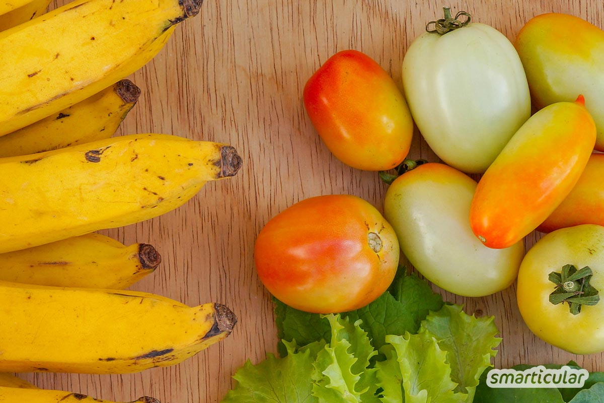 Gemüse und Obst aufbewahren, aber wie? Wenn du diese Tipps zur Lagerung beachtest, bleiben Einkauf und Ernte länger frisch!