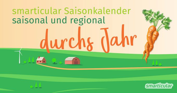 Äpfel aus Neuseeland, Tomaten aus Spanien? Mit diesem Saisonkalender nicht nötig. Hier erfährst du, wann es regionales, saisonales Obst und Gemüse gibt.