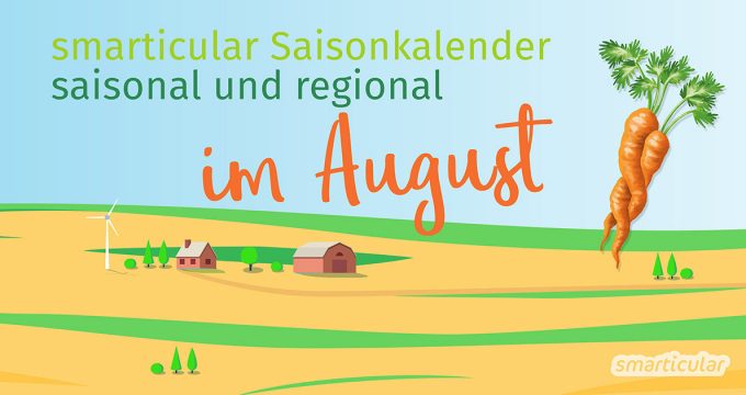 Von Butterrüben bis zur Wassermelone - im August reift wieder viel regionales, gesundes Obst & Gemüse. Das ist nicht nur lecker, sondern auch vielseitig!