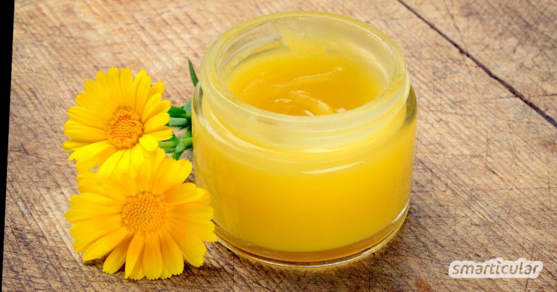 Eine Ringelblumensalbe eignet sich hervorragend als Wund- und Heilsalbe. Sie lässt sich mit einem Ringelblumenextrakt ganz einfach selber machen!