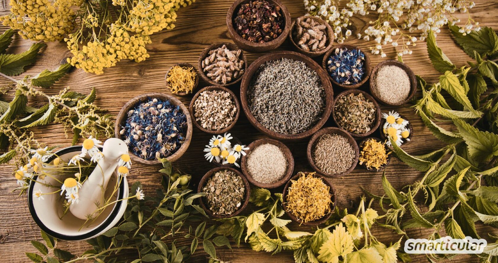 Kopfschmerzen, Rheuma oder Regelschmerzen natürlich behandeln. Entdecke wirksame Heilpflanzen als sanfte Alternative.