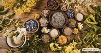 Kopfschmerzen, Rheuma oder Regelschmerzen natürlich behandeln. Entdecke wirksame Heilpflanzen als sanfte Alternative.