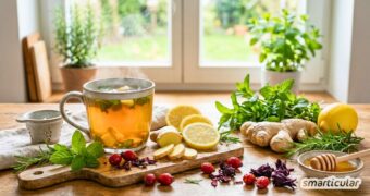 Fühlst du dich schlapp und antriebslos? Entdecke kraftvolle Pflanzen und ätherische Öle, die sanft die Stimmung aufhellen.