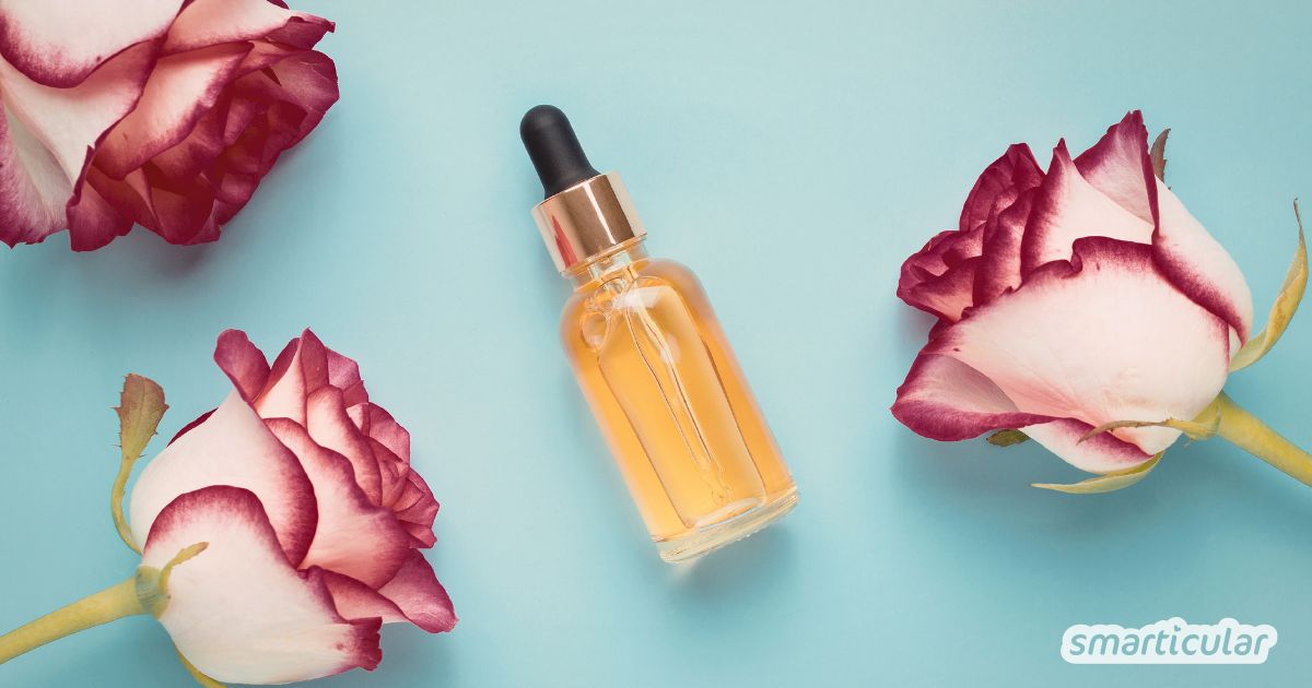 Rosenöl ist das Juwel der Naturheilkunde. Lerne hier über Wirkung, die richtige Anwendung und wie du Rosenöl einfach selber machst.