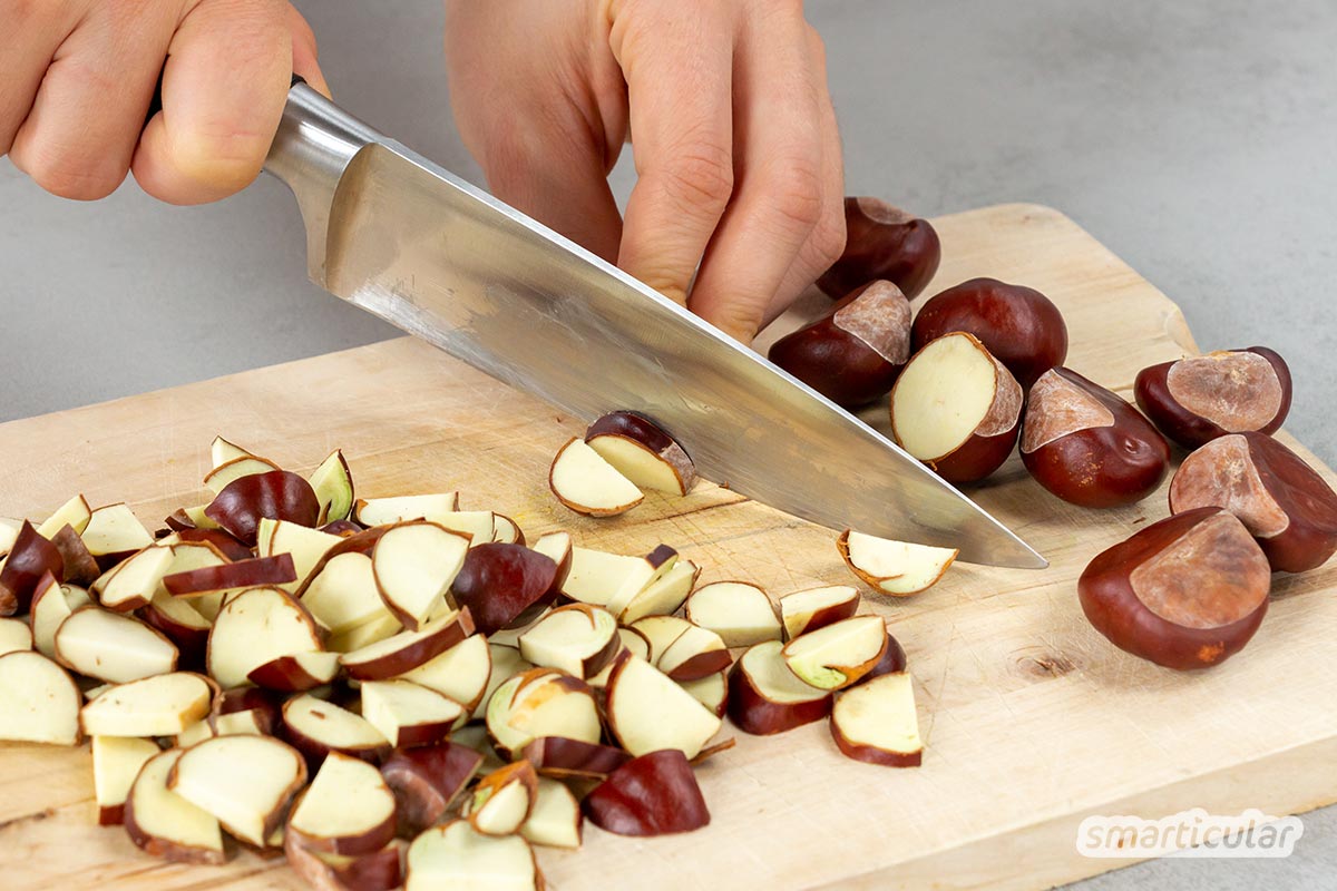 Die Rosskastanie ist ein wirksames Heilmittel gegen Rheuma, Krampfadern, Hämorrhoiden und viel mehr. So stellst du die heilende Kastanien-Tinktur her!