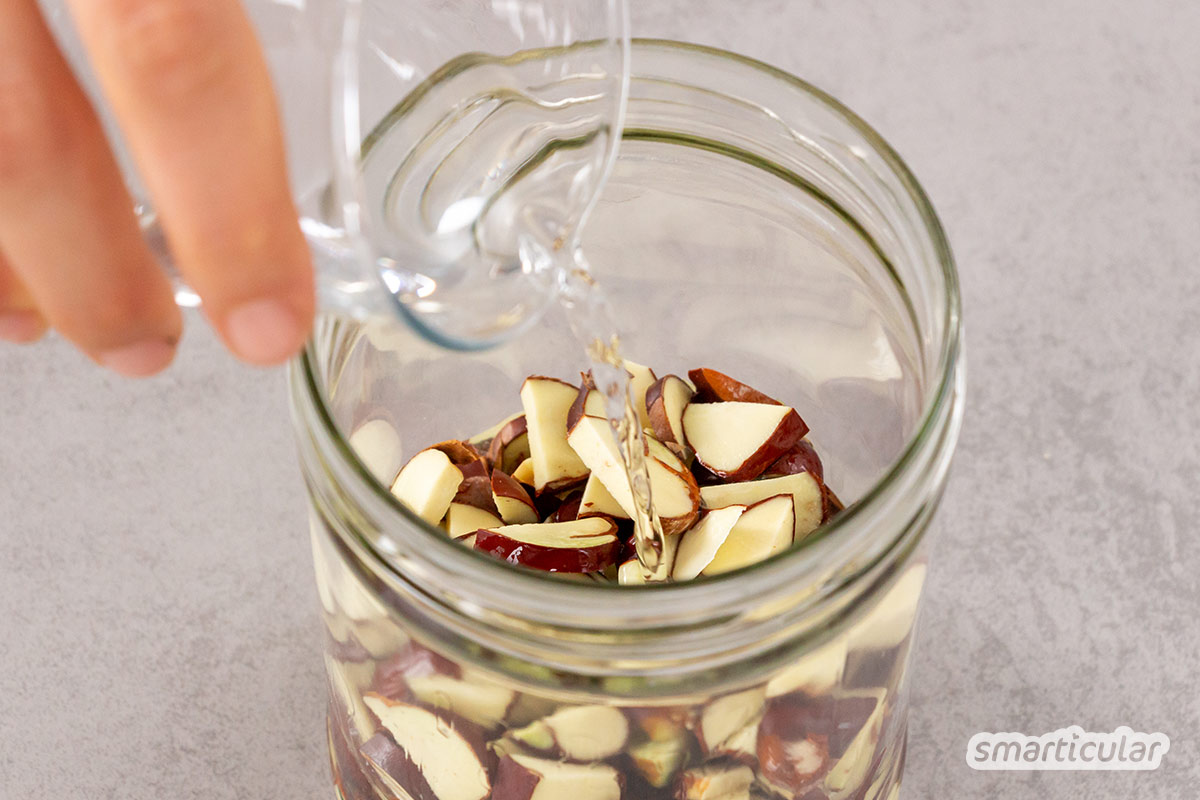 Die Rosskastanie ist ein wirksames Heilmittel gegen Rheuma, Krampfadern, Hämorrhoiden und viel mehr. So stellst du die heilende Kastanien-Tinktur her!