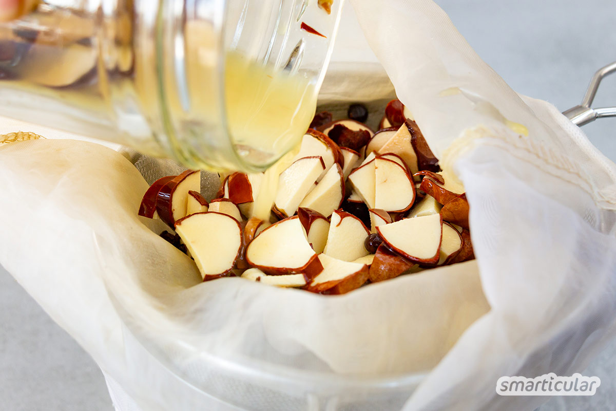 Die Rosskastanie ist ein wirksames Heilmittel gegen Rheuma, Krampfadern, Hämorrhoiden und viel mehr. So stellst du die heilende Kastanien-Tinktur her!