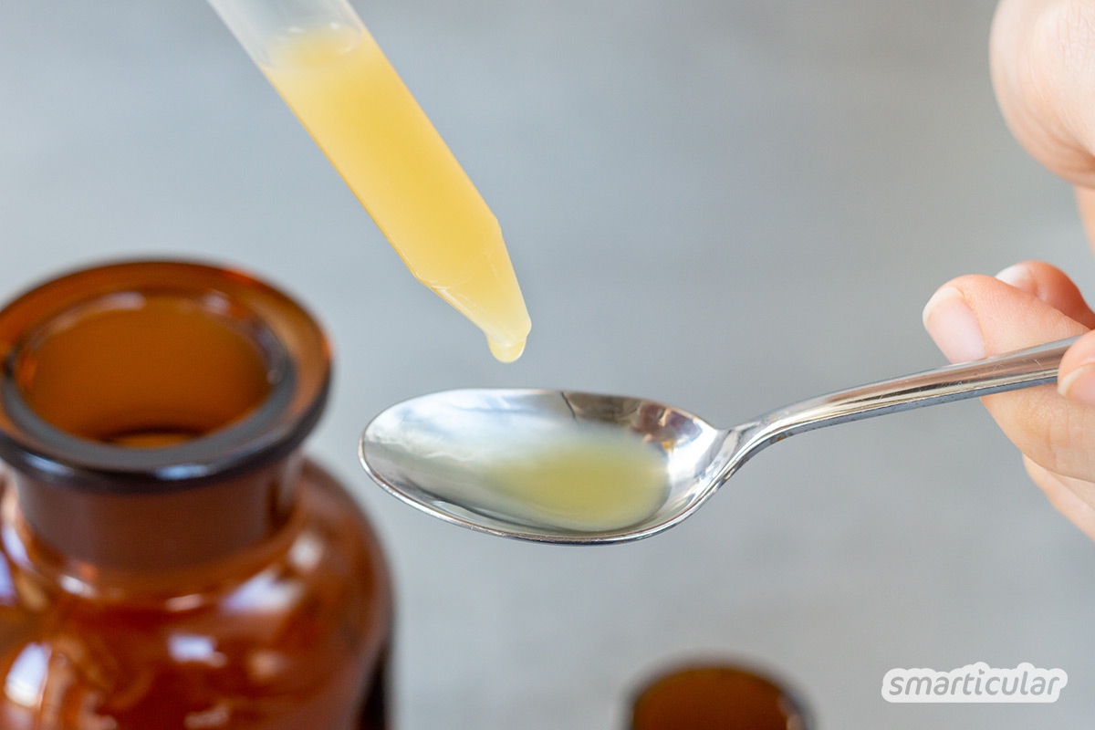 Die Rosskastanie ist ein wirksames Heilmittel gegen Rheuma, Krampfadern, Hämorrhoiden und viel mehr. So stellst du die heilende Kastanien-Tinktur her!