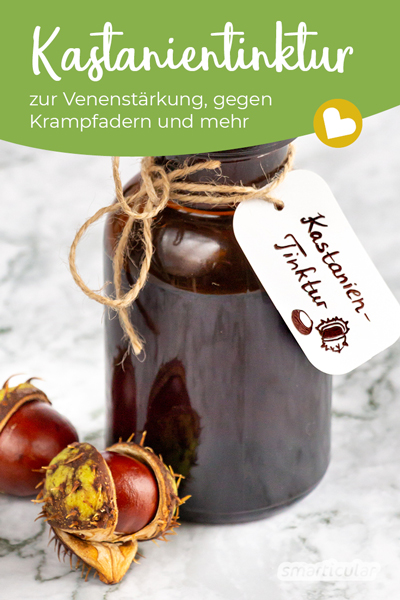 Die Rosskastanie ist ein wirksames Heilmittel gegen Rheuma, Krampfadern, Hämorrhoiden und viel mehr. So stellst du die heilende Kastanien-Tinktur her!