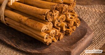 Zimt ist weit mehr als ein Weihnachtsgewürz. Erfahren Sie, wie das Naturheilmittel bei Erkältungen, Entzündungen und beim Abnehmen hilft und worauf Sie beim Kauf achten müssen.